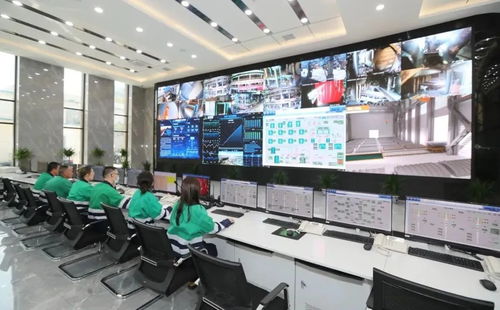 金川集團鎳冶煉廠謀劃明年生產經營重點 面臨兩大考驗